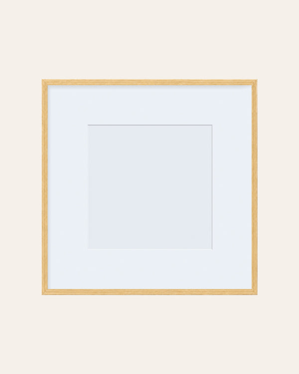 Ivory - Archival Collection